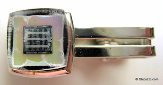 Hitachi chip jewelry