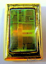 Intel 486 DX2 chip 