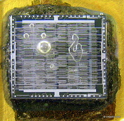 National Semiconductor chip