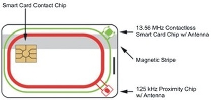 RFID Transponders 50mm HDX Read Only RFID Transponder Pack of 1 NCD1015ZP