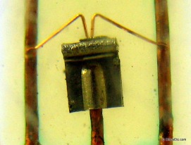 RCA Point Contact Transistor