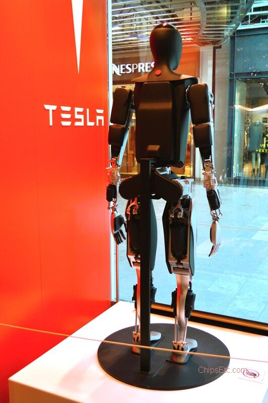 Tesla bot Optimus Robot back rear