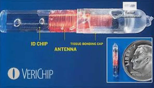 VeriChip human implant microchip inside